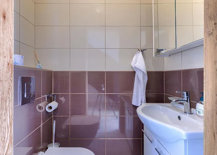 Rial 1 By Interhome Villa Fažana